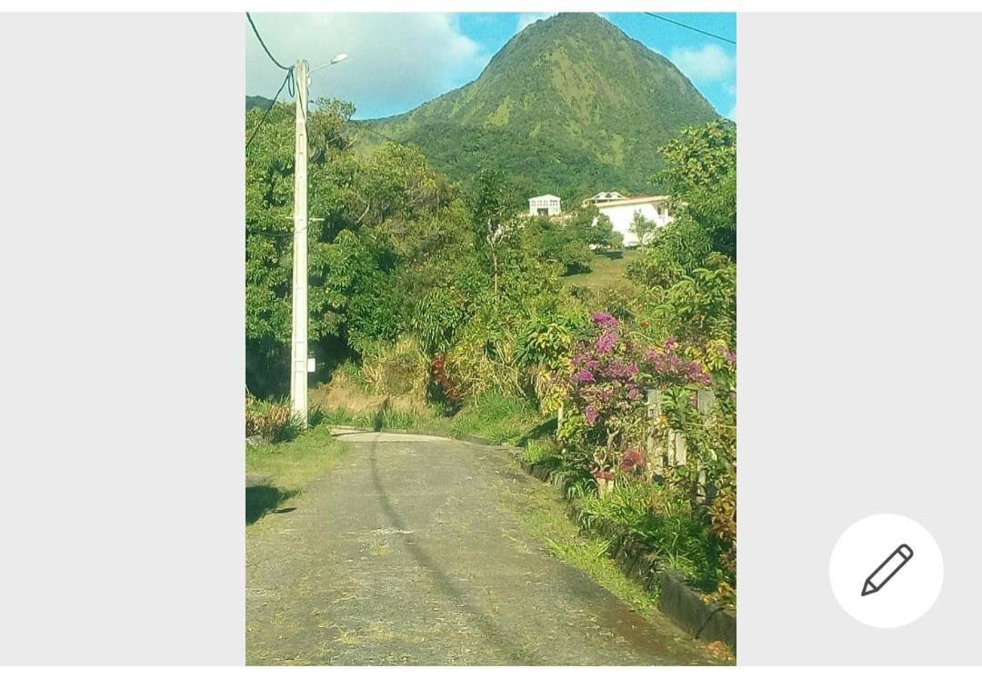 A La Montagne Le Morne-Vert Exterior foto
